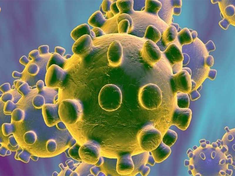 Cientistas descobrem gene que pode explicar por que algumas pessoas nunca tiveram Covid-19