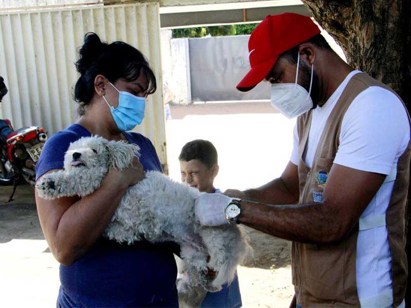 Barbalha já vacinou mais de 6 mil animais na campanha antirrábica