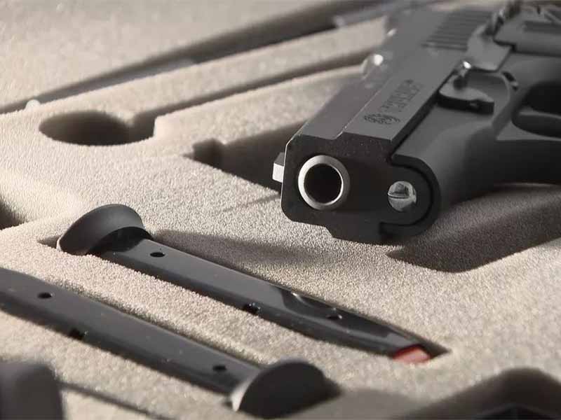 Transição vai propor revogação dos decretos de armas