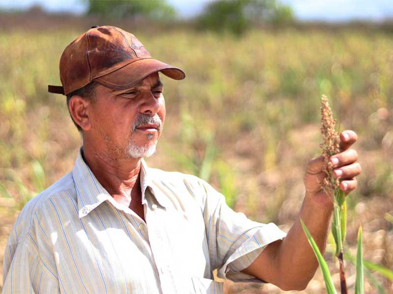Farias Brito anuncia cronograma de distribuição de senhas do programa “Hora de Plantar”