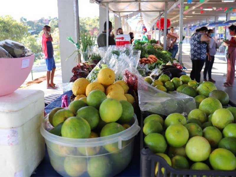 Circuito de Feiras da Agricultura Familiar e da Economia Criativa acontece no próximo fim de semana, no Crato