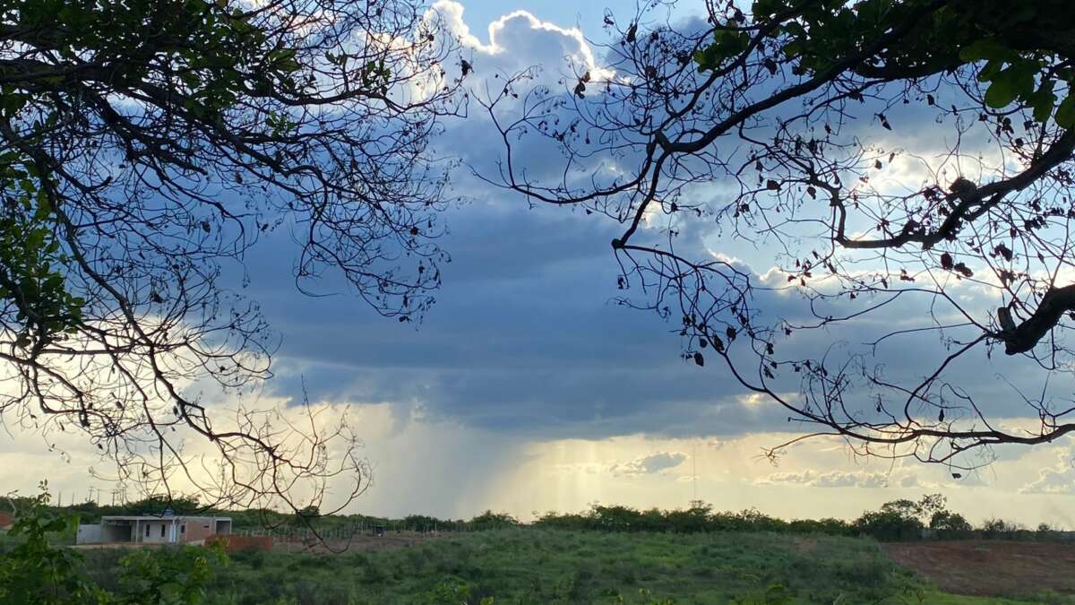 Ceará volta a ter condições de chuva em todas as macrorregiões; confira detalhes da previsão do tempo