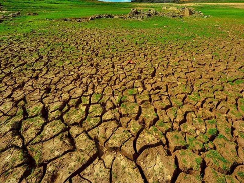 Ceará registra menor área com seca desde agosto de 2022