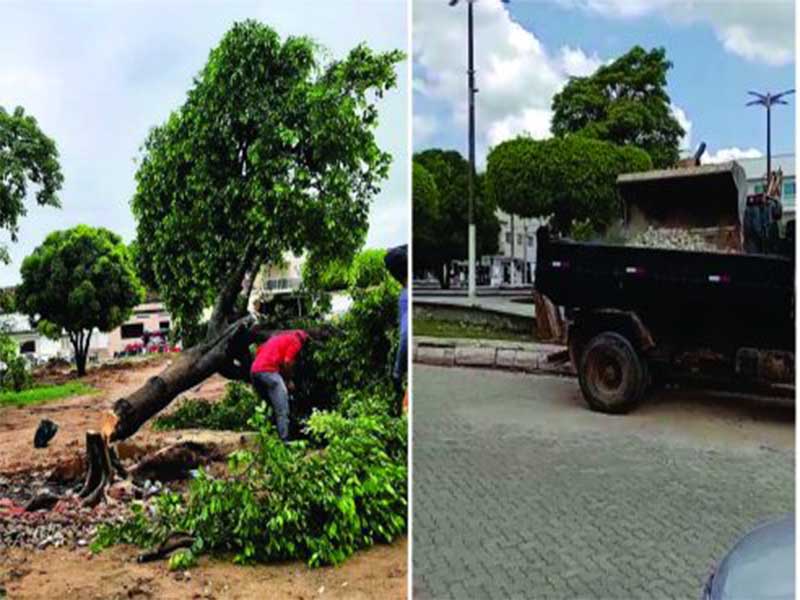 Gestão Marcone acusada de crime ambiental; oposição trabalhando em Aurora