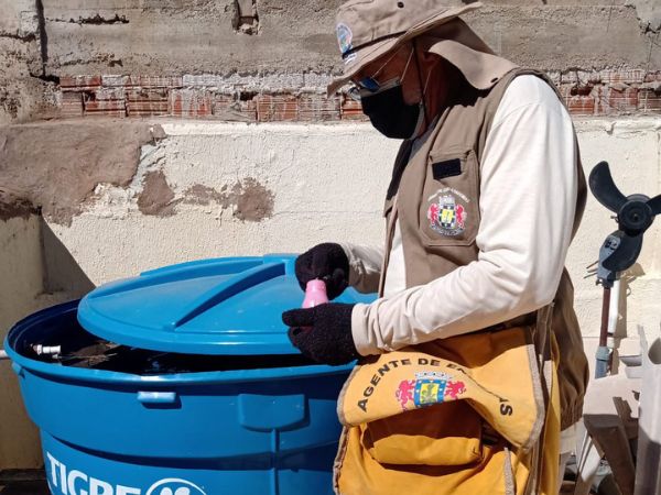 Com período chuvoso, Juazeiro intensifica combate ao Aedes Aegypti