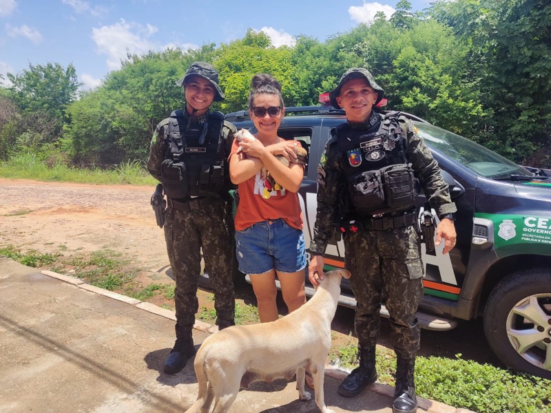 Milagres: Cadela e filhotes abandonados em praça são resgatados pela Polícia Ambiental