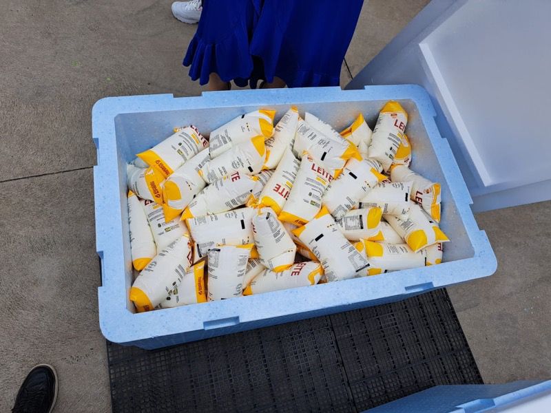 Juazeiro inicia distribuição gratuita de leite para mais de 700 famílias