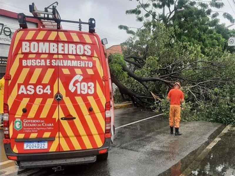 Corpo de Bombeiros realiza mais de 300 cortes de árvores em situação de perigo no Ceará