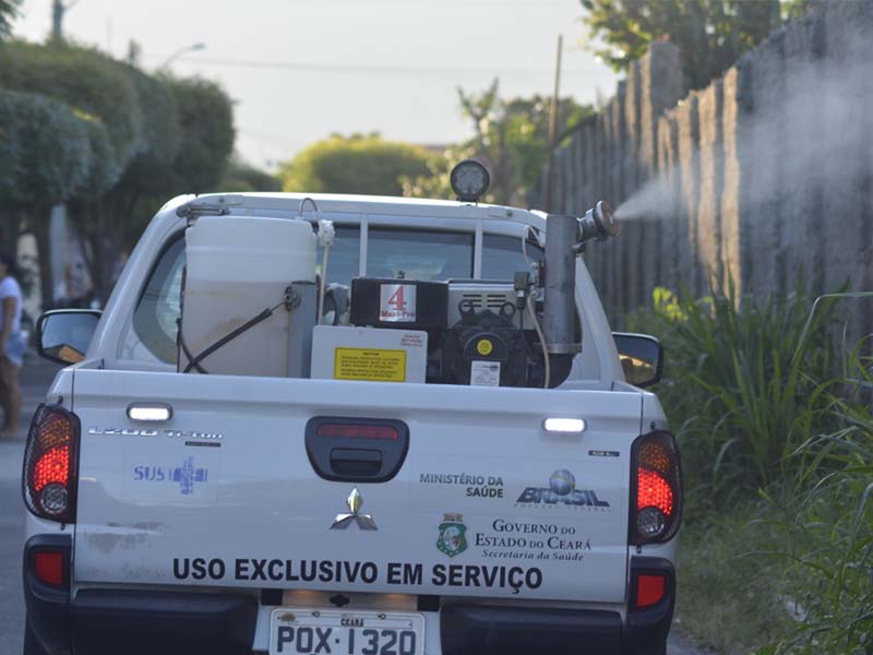 Falta inseticida para combater o mosquito Aedes aegypti no Brasil