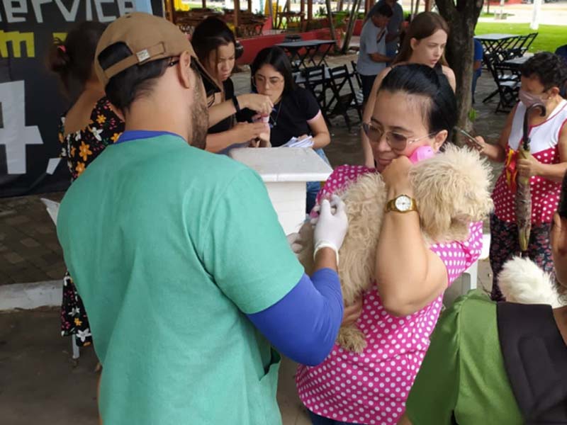Juazeiro realiza dia de doação e bem-estar animal
