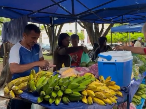 Feiras da agricultura familiar do Crato impactam na economia local