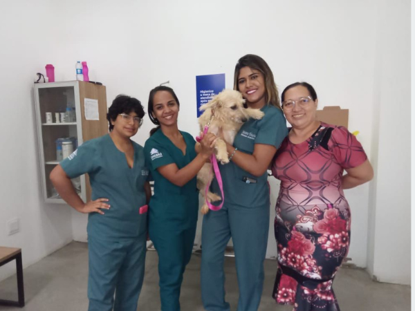 Juazeiro alcança 100 castrações em 45 dias da nova fase do programa