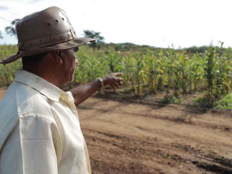 Projeto Fazenda Agroecológica Padre Cícero beneficia agricultores