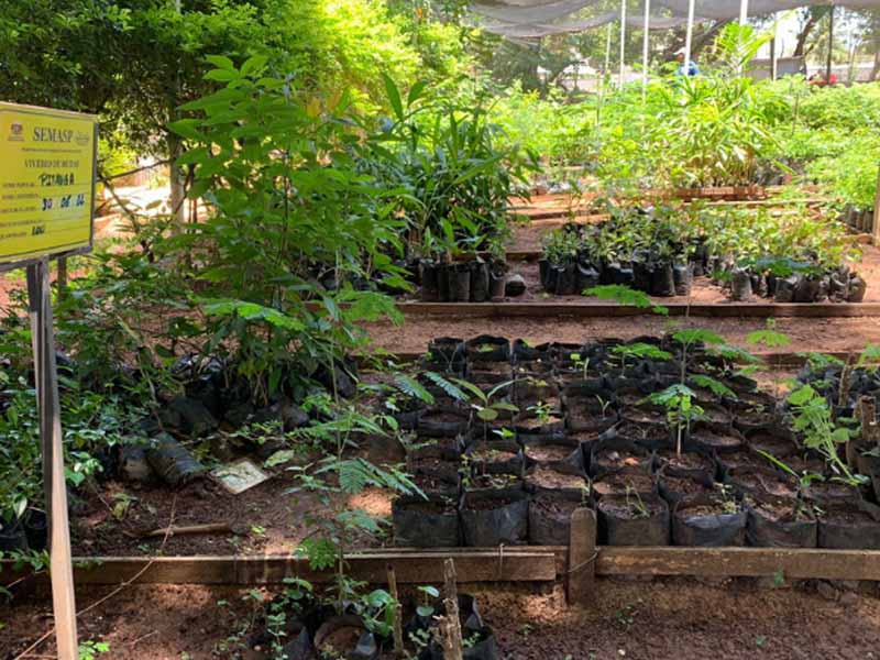 Juazeiro avança com o projeto Menos Lixo, Mais Plantas