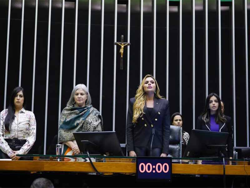 Câmara reforça compromisso na luta contra feminicídio em sessão de homenagem a vítimas