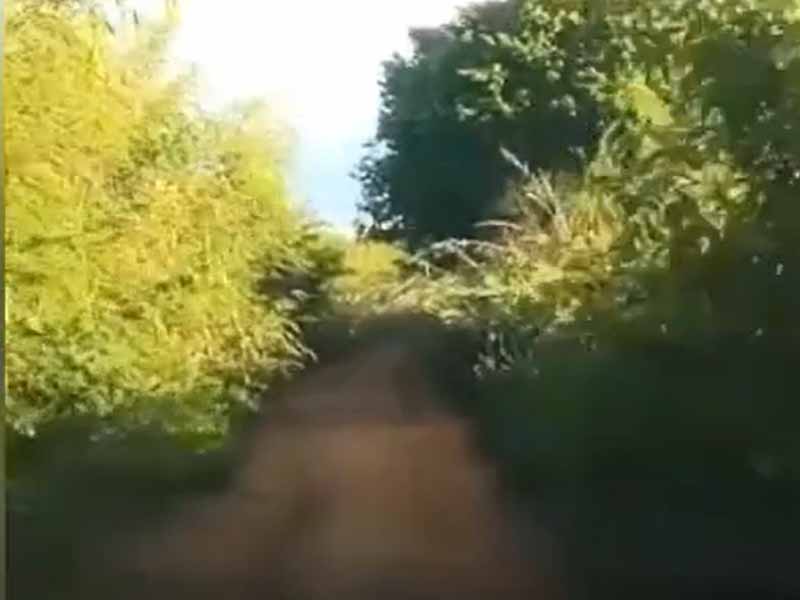 Denúncia: estrada que liga Sitio Cobras a Capoeira Grande é abandonada pelo poder público, em Santana do Cariri