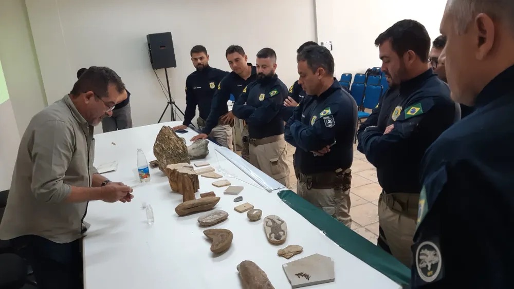 Polícia apreende fósseis, resgata 200 aves e aplica mais de R$ 100 mil em multas no Cariri