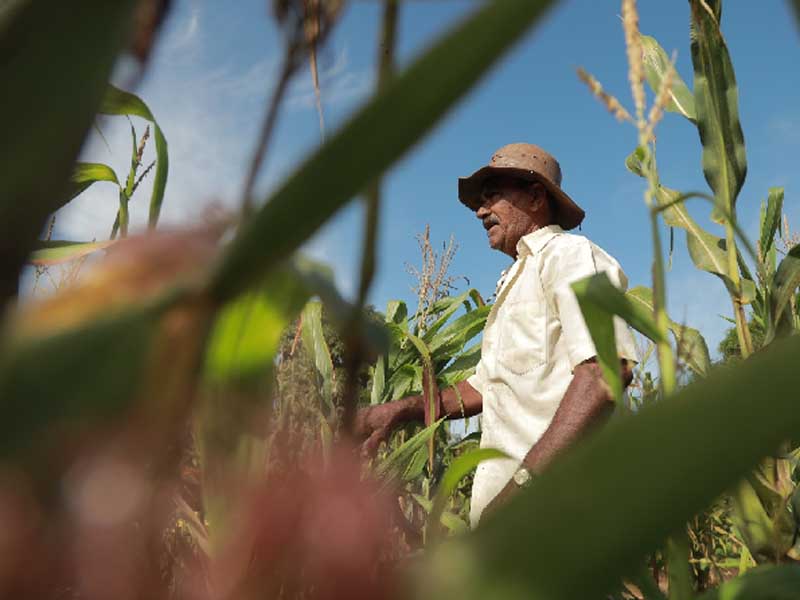 Festa do agricultor de Juazeiro do Norte será realizada no próximo domingo, 11
