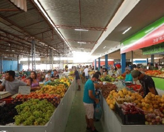 Juazeiro do Norte: Semasp lança Portal da Transparência
