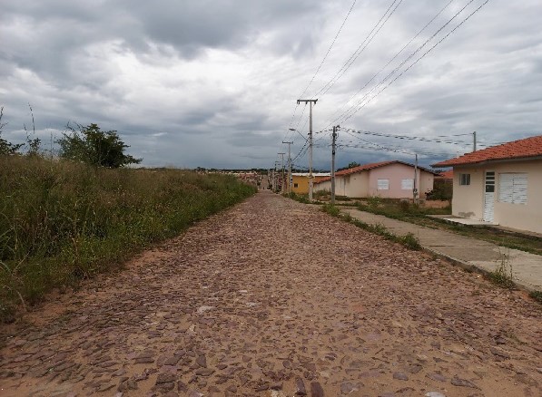 Secretaria de Meio Ambiente do Crato realiza diagnóstico de arborização no Conjunto Madre Feitosa