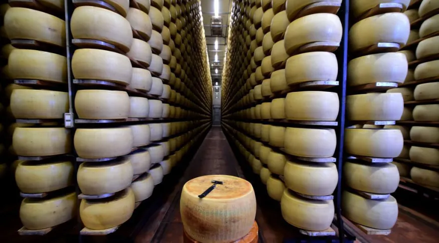 Homem morre soterrado por 16.000 pedaços de queijo na Itália