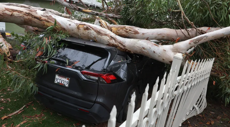 Tempestade Hilary atinge os Estados Unidos e deixa estragos na Califórnia