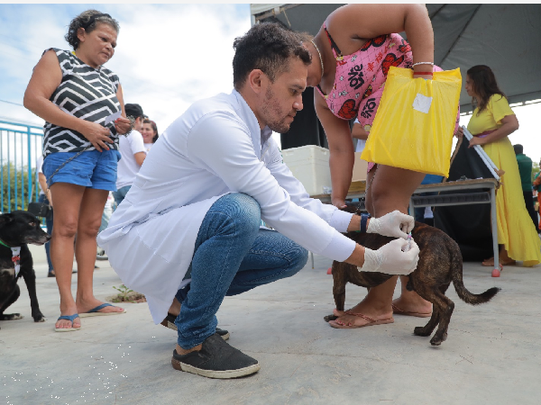 Campanha de vacinação antirrábica continua em Juazeiro do Norte