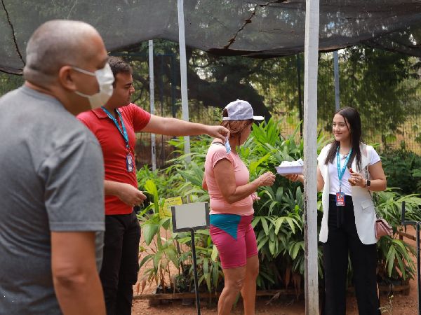Campanha troca alimentos por mudas de plantas em Juazeiro do Norte