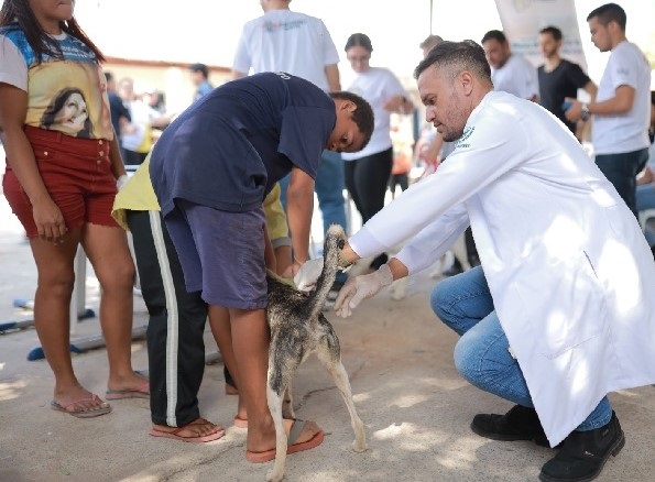 Juazeiro do Norte divulga calendário para vacinação antirrábica