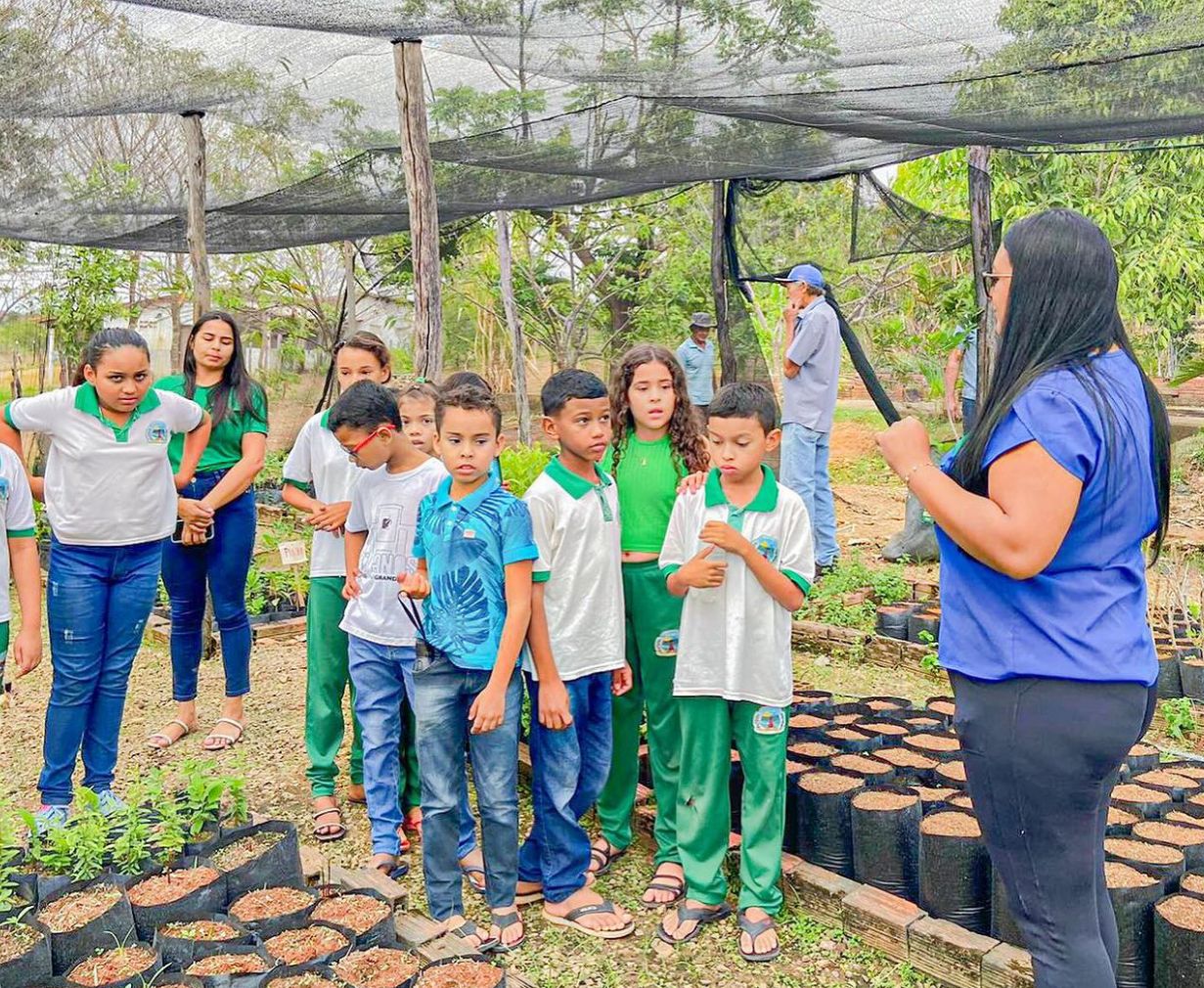 Farias Brito: alunos conhecem viveiro e aprendem educação ambiental
