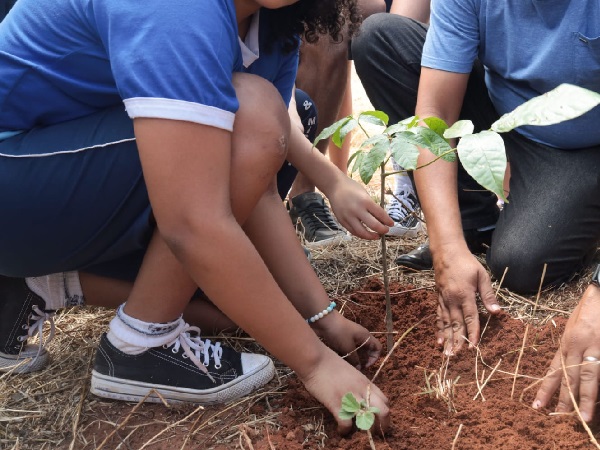SEMASP divulga programação do 6° aniversário da Unidade de Conservação do Parque Ecológico das Timbaúbas