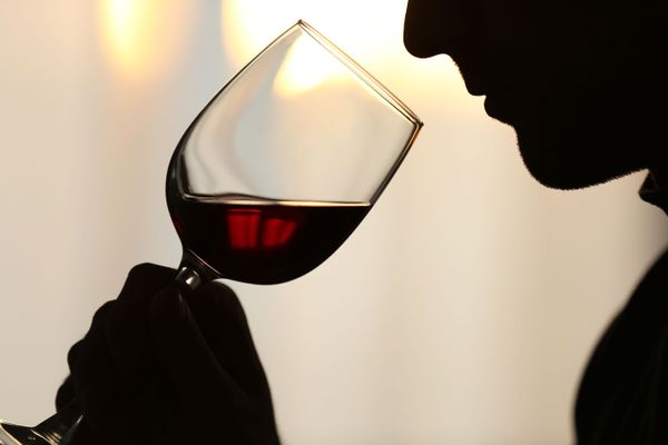 Projeto caracteriza como insalubre a atividade de degustador de bebidas, remédios e tabaco