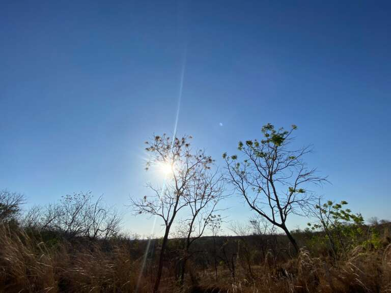 Monitor de Secas: Ceará apresenta melhor resultado desde junho do ano passado
