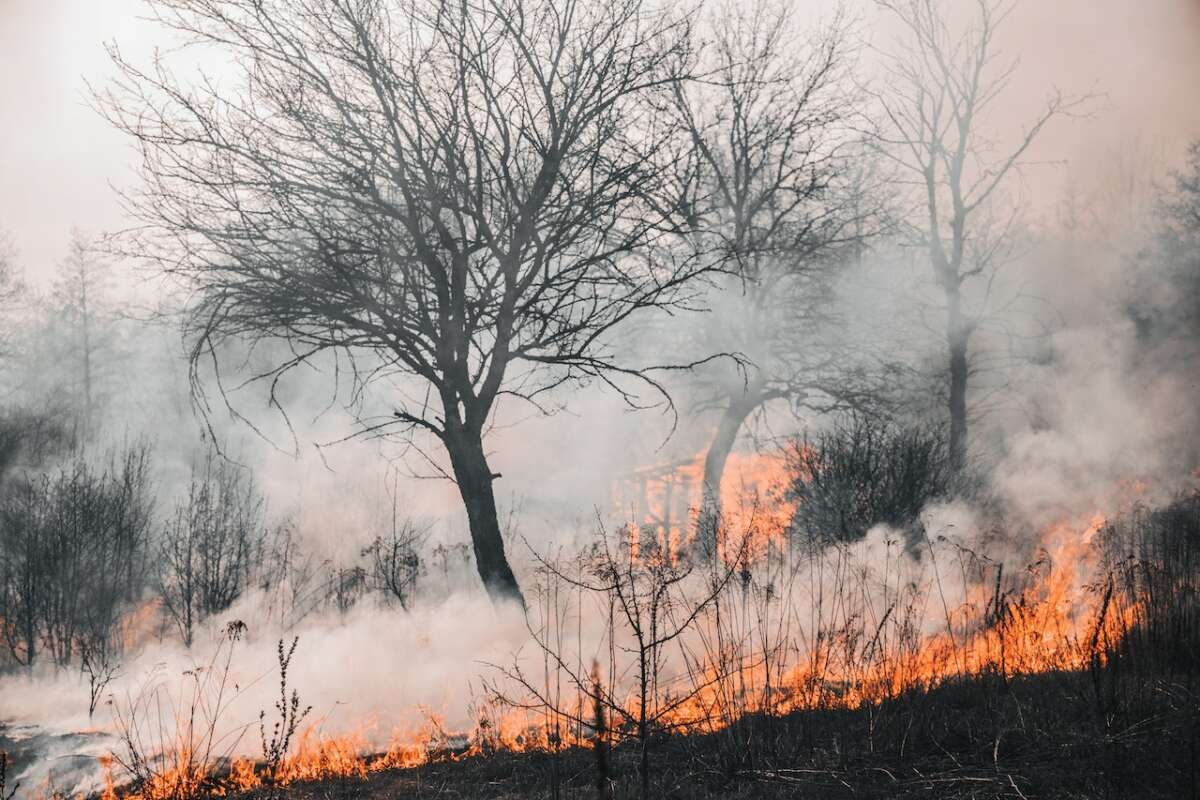 MPCE cobra fiscalização sobre queimadas no município de Crato