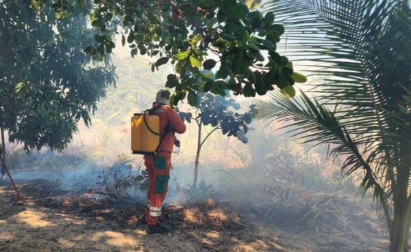 Aumento do número de queimadas no Ceará pode trazer problemas respiratórios; entenda o que fazer para se prevenir
