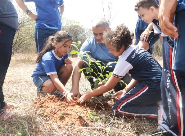 5° Mutirão Nacional de Plantio de Árvores acontece no Parque Natural das Timbaúbas