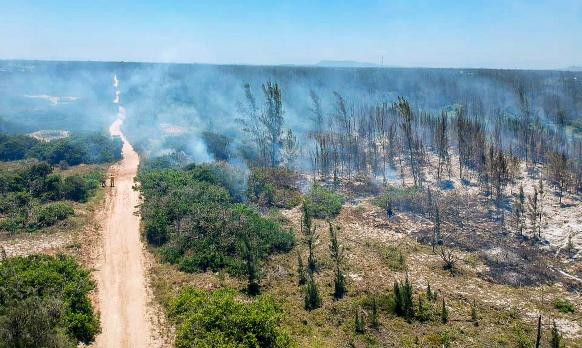 Incêndio atinge parque natural em Arraial do Cabo, no Rio de Janeiro