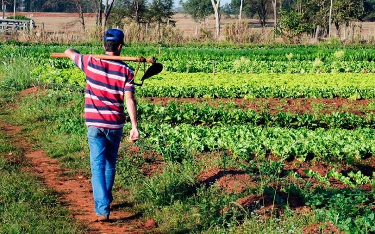 Crato realiza atendimento para regularização de pendências de títulos de terra nesta quarta-feira