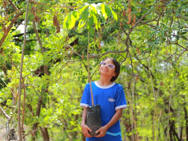Projeto da Rede Municipal trará arborização de mil árvores em Juazeiro do Norte