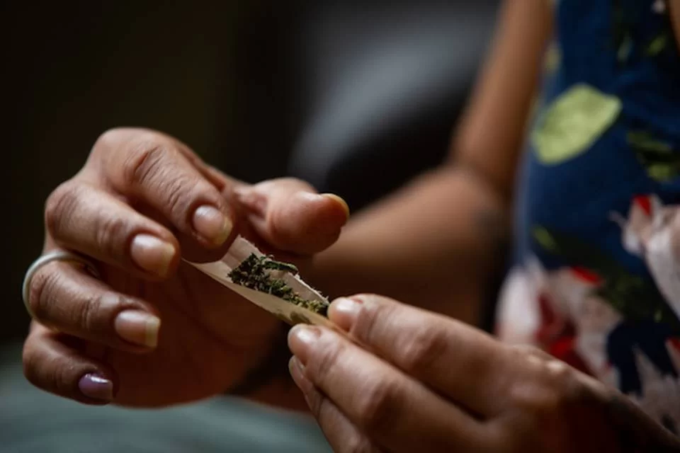 STF descriminaliza porte de maconha para uso pessoal