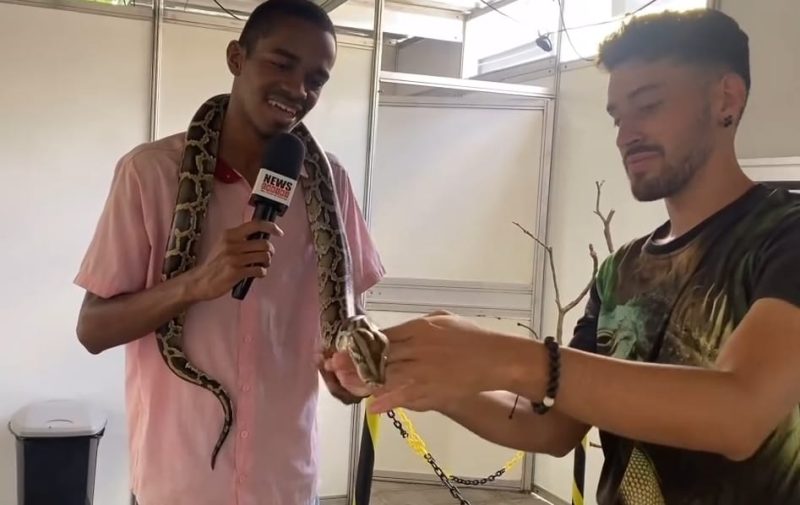Santuário dos Répteis expõe diversas espécies de lagartos e cobras na praça Padre Cícero; assista