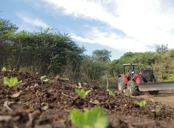 Secretaria de Agricultura de Juazeiro do Norte disponibiliza boletos do Programa Garantia Safra