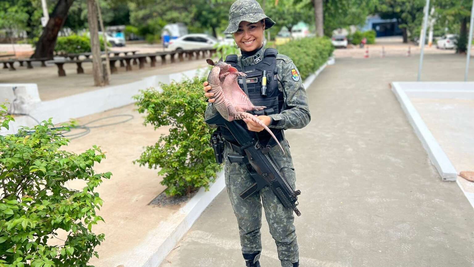Tatu é encontrado dentro de churrascaria em Juazeiro do Norte