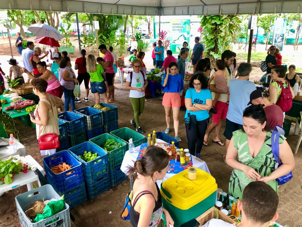 Feira Agroecológica no Parque do Cocó promove produtos orgânicos e Educação Ambiental