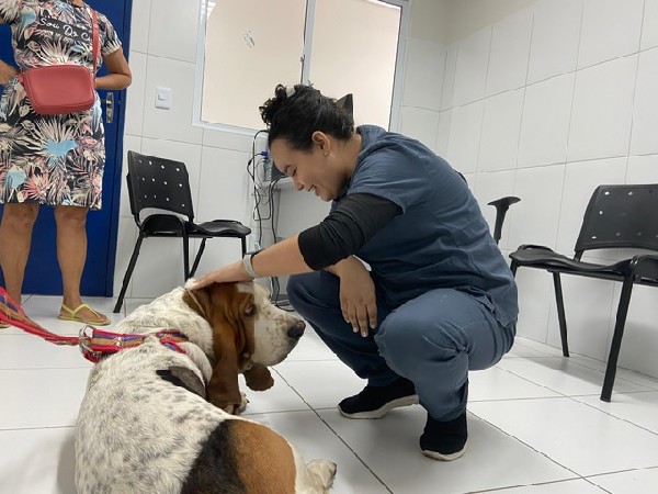 Crato realiza mais de 260 castrações no primeiro mês de funcionamento da UPAA Lessa