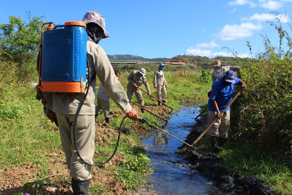Prefeitura do Crato realiza ações intersetoriais de combate ao mosquito Aedes aegypti