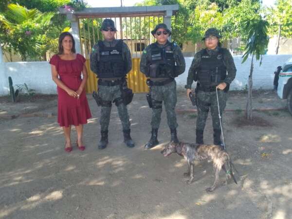 Polícia de Meio Ambiente prende tutora de cachorro por maus-tratos ao animal em Caririaçu