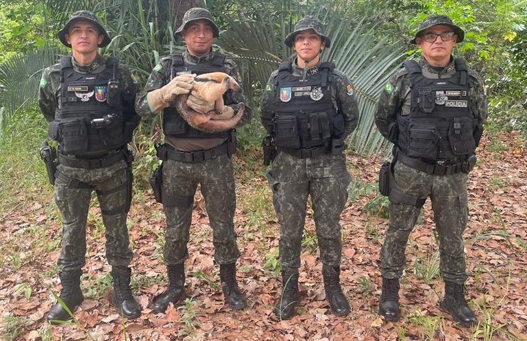 Dia Nacional dos Animais: a importância da Polícia de Meio Ambiente no resgate e proteção dos bichos