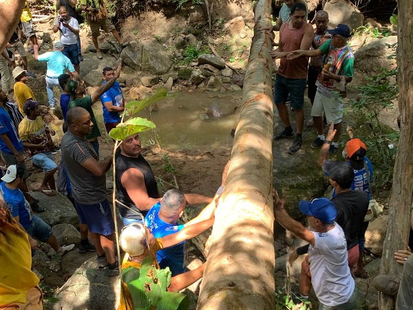 Corte do Pau da Bandeira de Santo Antônio ocorre próxima sexta-feira (17) no Sítio São Joaquim