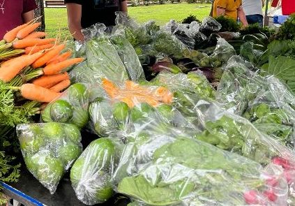 Circuito de Feiras da Agricultura Familiar e Economia Criativa do Crato acontece neste fim de semana